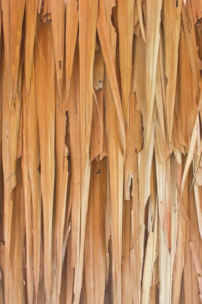 Muur van huis uit nypa fruticans, nipa palm — Stockfoto