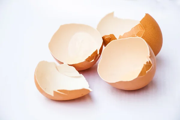 Eggshell — Stock Photo, Image