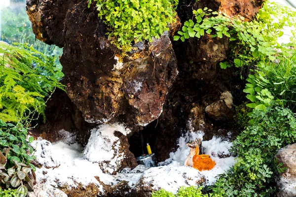 Acquario tropicale — Foto Stock