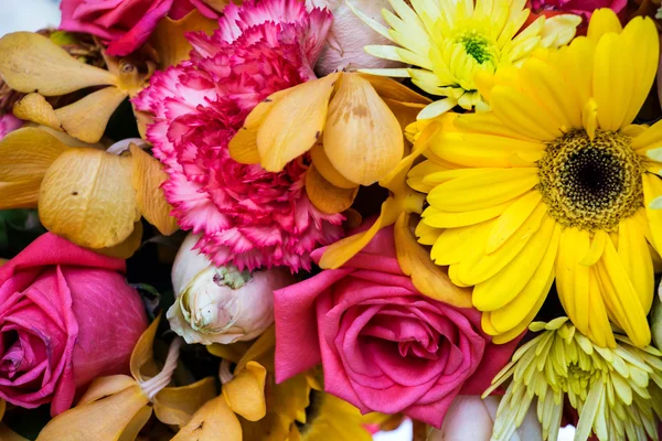 Barevné květy — Stock fotografie