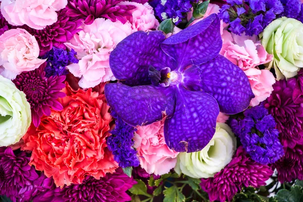 Bunte Blumen — Stockfoto