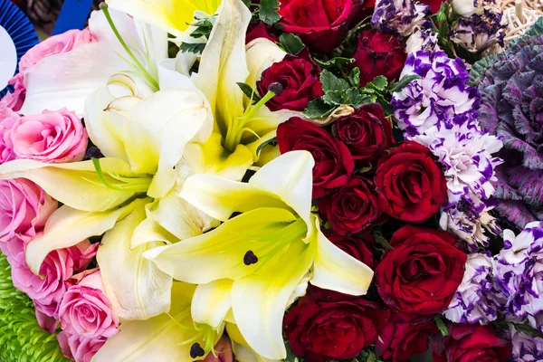 Flori colorate — Fotografie, imagine de stoc