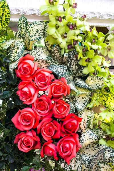 Bunte Blumen — Stockfoto