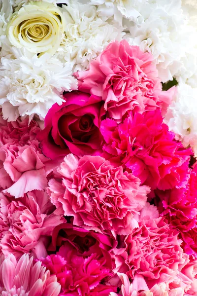 Witte en roze bloemen — Stockfoto