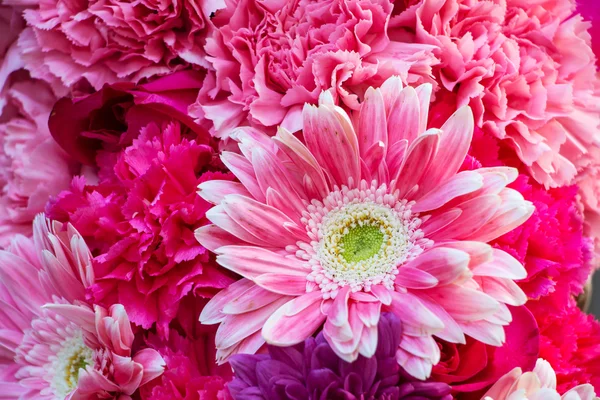 White and pink flowers — Stock Photo, Image