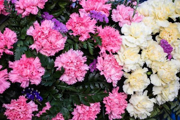 Um monte de flores. — Fotografia de Stock