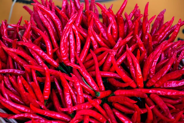 Red chili peppers — Stock Photo, Image