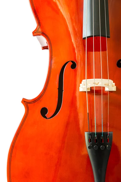 Violin isolerad på vit bakgrund — Stockfoto
