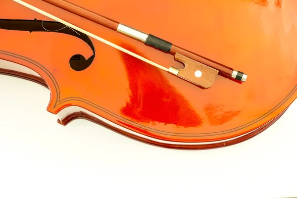 Violin isolate on white background — Stock Photo, Image