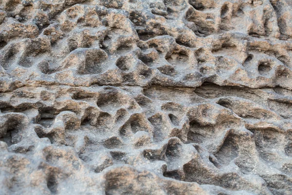 Sam-pan-bok büyük Kanyon'da taş — Stok fotoğraf