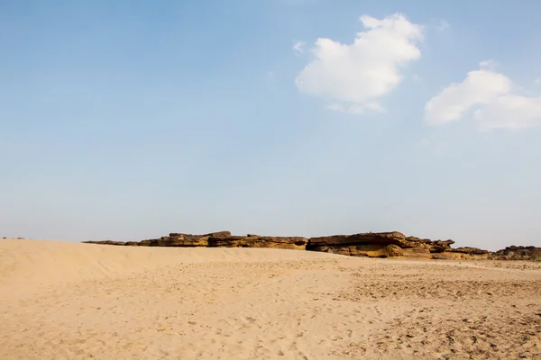 Sabbia e piante del deserto — Foto Stock