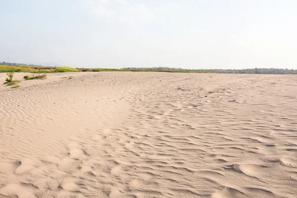 Sabbia e piante del deserto — Foto Stock