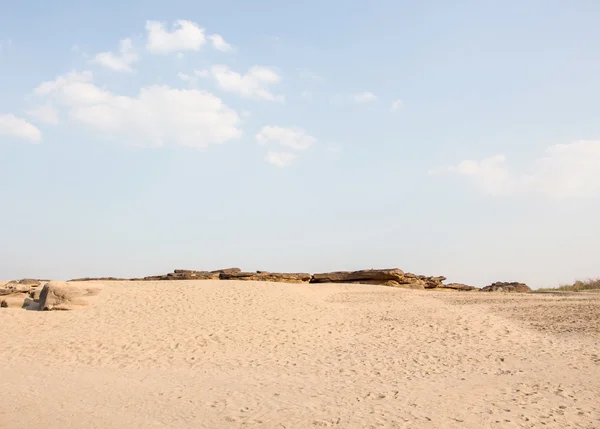 Sabbia e piante del deserto — Foto Stock