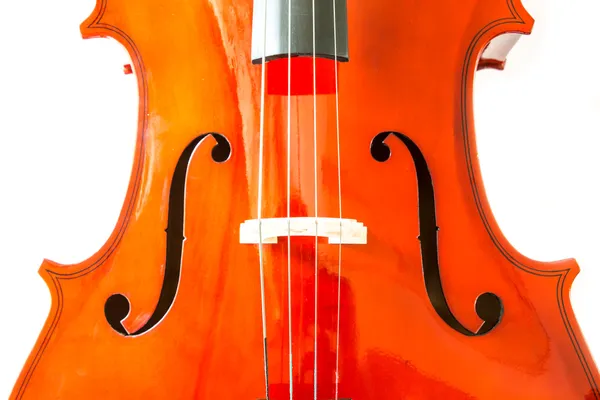 Violino isolado em branco — Fotografia de Stock