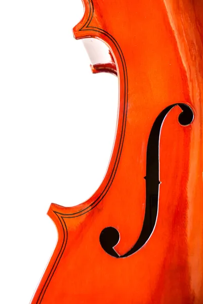 흰색으로 분리 된 바이올린 — 스톡 사진