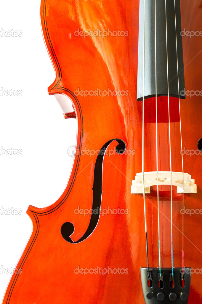 Violin isolated on white