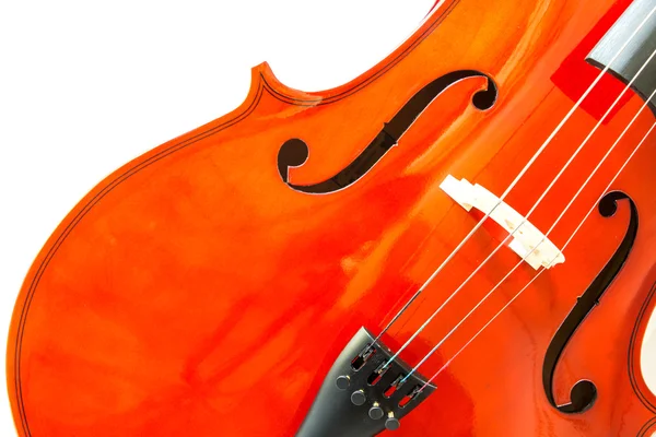 Violin isolated on white — Stock Photo, Image