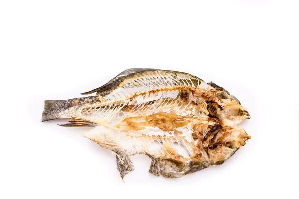 Os de pește — Fotografie, imagine de stoc