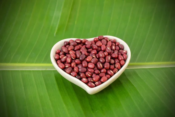 Red bean on green background — Stock Photo, Image