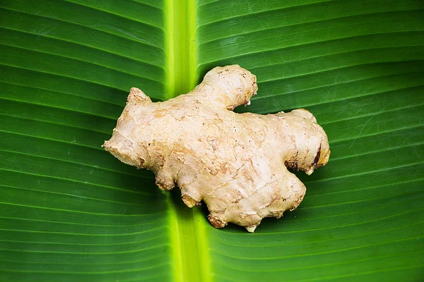 Gember op bananen blad achtergrond — Stockfoto