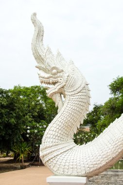 ejderha yakınındaki altın buddha heykeli