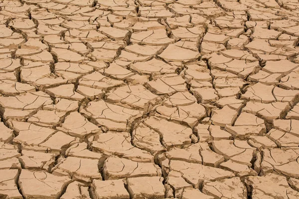 Droog Gebarsten Land Woestijn — Stockfoto