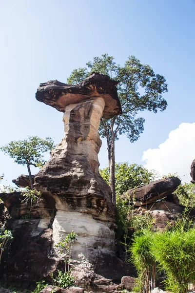 Sao Chaliang Pha Taem Ulusal Parkı Ubon Ratchathani Tayland — Stok fotoğraf