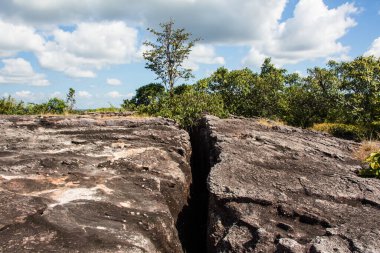 Ormanda büyük bir taş yığını