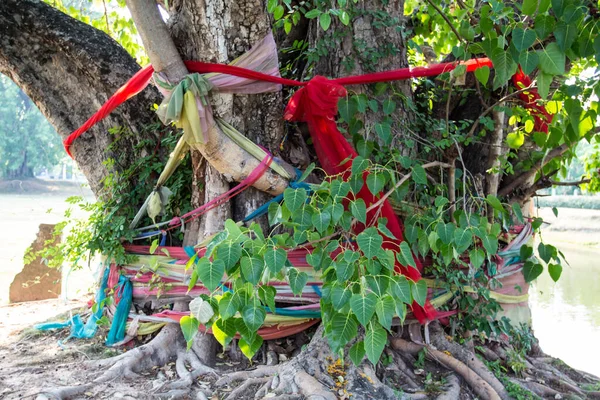 Worship Colored Ribbons Holy Bodhi Tree — Stock Photo, Image