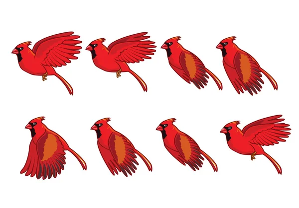 Cardinal Bird Animazione Volante — Vettoriale Stock