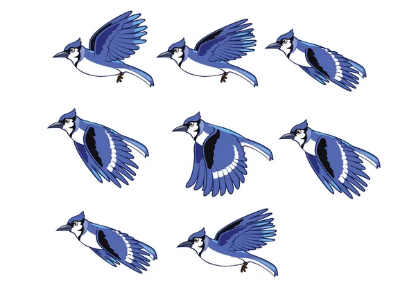 104 Blue Jay Flying Vector Images Blue Jay Flying Illustrations Depositphotos