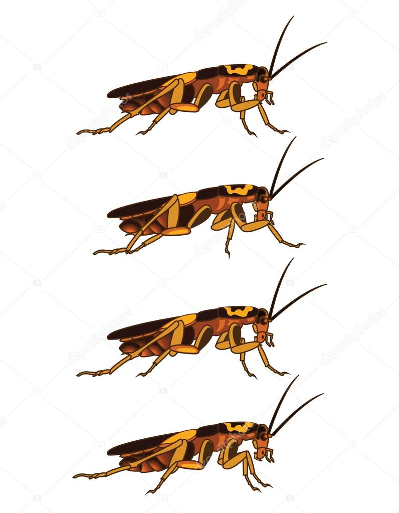 Walking Cockroach Animation Sprite