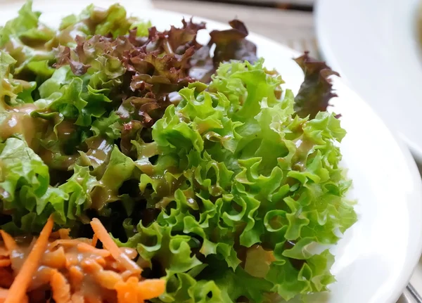 Kırmızı ve yeşil marul salatası — Stok fotoğraf