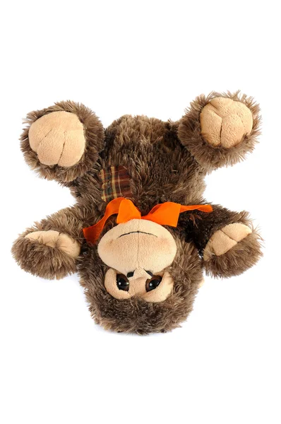 Peluche jouet de singe — Photo