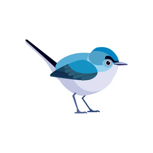 Sehr kleiner Singvogel blaugrauer Mückenfänger in der Familie der Mückenfänger. Winzige niedliche Vogel Cartoon, flachen Stil Charakter der Ornithologie, Vektorillustration isoliert auf weißem Hintergrund — Stockvektor