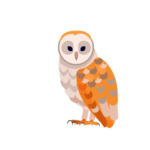Barn owl with white face and brown wings, side view. Wild forest bird. Carnivore Hunter Bird Cartoon flat style character of ornithology, vector illustration isolated on white — Stock Vector