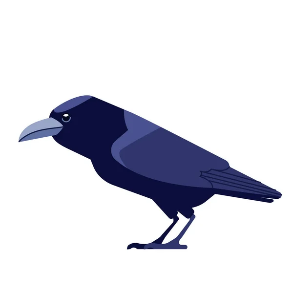 Le Corbeau est un genre d'oiseaux de la famille des Corvidés. Corbeau noir oiseau Cartoon style plat caractère de l'ornithologie, illustration vectorielle isolé sur fond blanc — Image vectorielle
