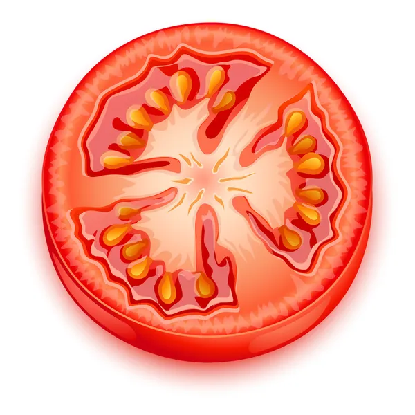 Une tranche de tomate — Image vectorielle