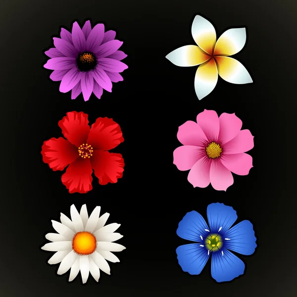 Çiçek izole — Stok Vektör
