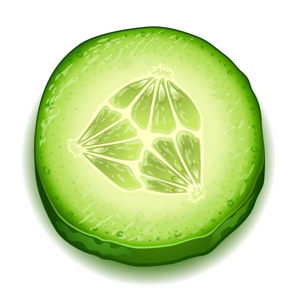 Rebanada de pepino fresco — Vector de stock