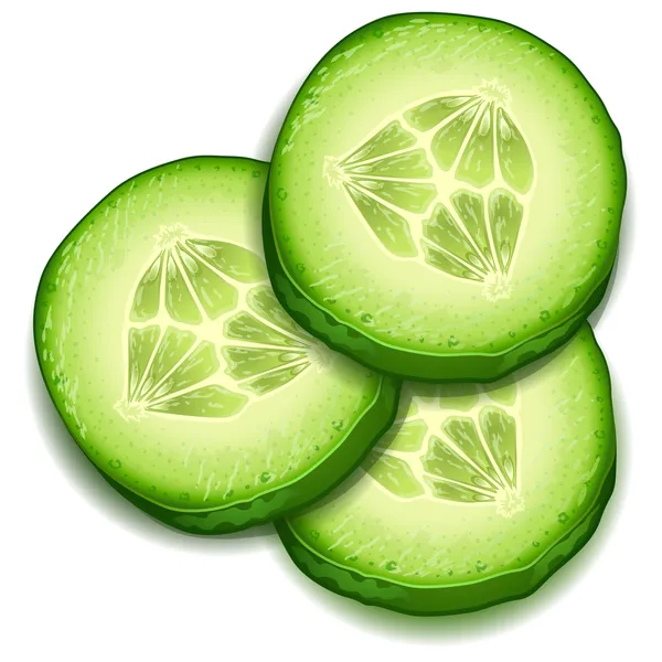 Rebanada de pepino fresco — Vector de stock