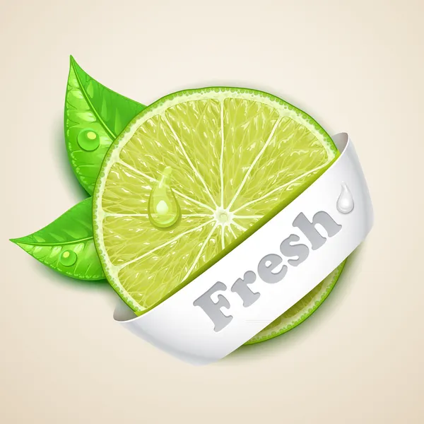 Fresh lime — Stock Vector