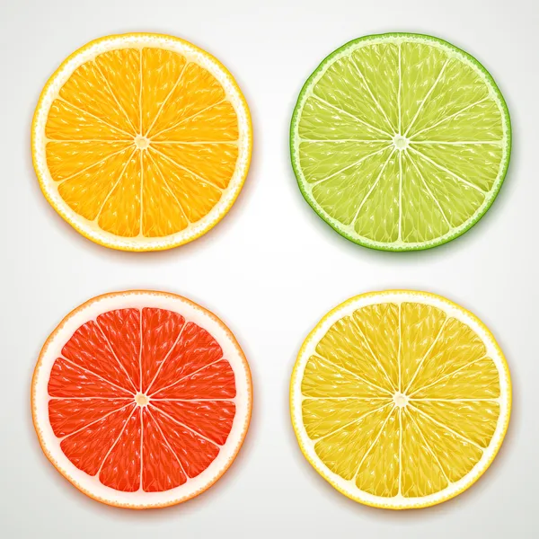 Vektor citrus szeletek Jogdíjmentes Stock Illusztrációk