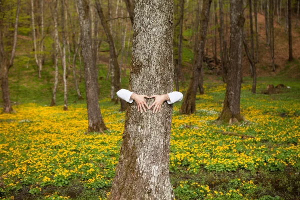 Um homem feliz abraçando uma árvore na floresta — Fotografia de Stock