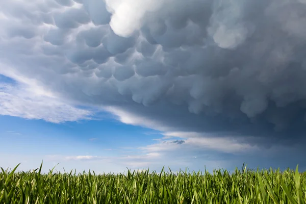 Mraky mammatus nad zelené trávy — Stock fotografie