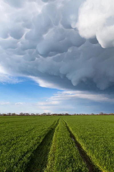 Camino a la hierba verde que va a las nubes de tormenta y mammatus — Foto de Stock