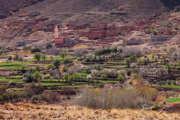 Aldeia berbere tradicional em Atlas Mountains, Marrocos, África — Fotografia de Stock