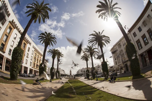 Mohammed V Avenue in Rabat, Morocco — Stock Photo, Image