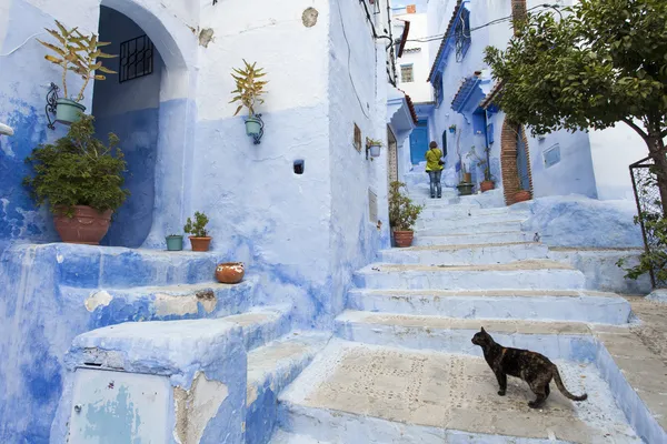 푸른 마 체 프 차 웬, 모로코의 메디 나에 있는 거리 스톡 이미지