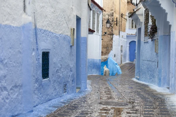 Rue en médina de ville bleue Chefchaouen, Maroc — Photo